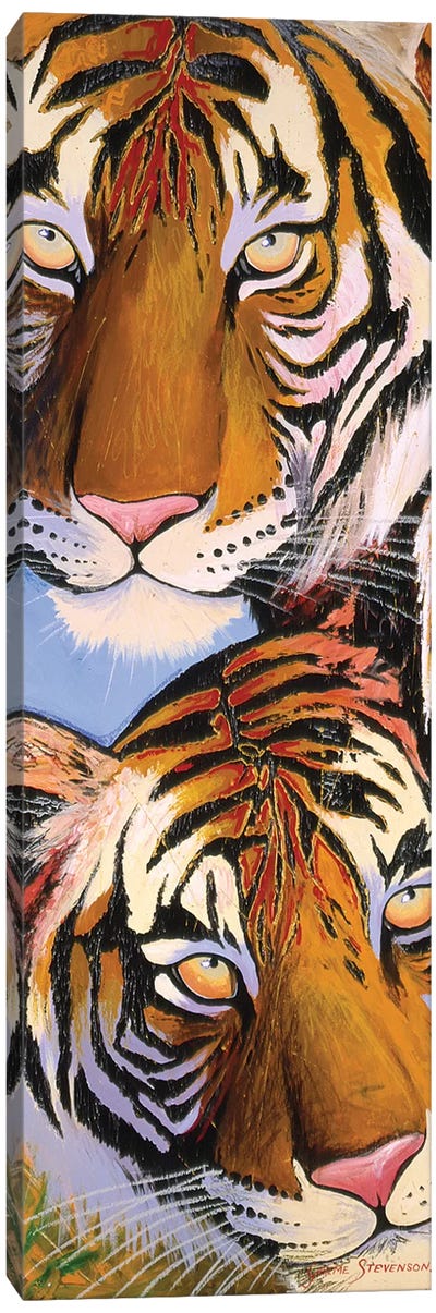 Tiger Tiger Canvas Art Print - Graeme Stevenson