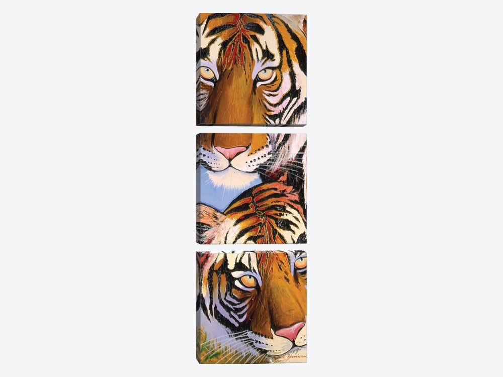 Tiger Tiger by Graeme Stevenson 3-piece Canvas Print