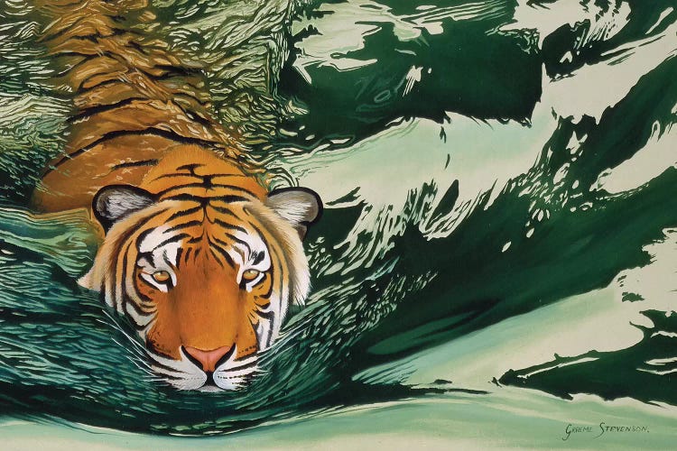 Tiger Waters