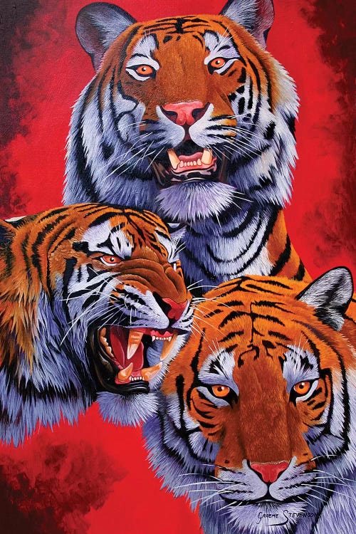 Tigers