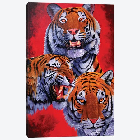 Tigers Canvas Print #GST323} by Graeme Stevenson Canvas Art