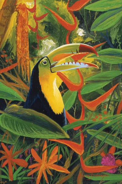 Toucan Colors by Graeme Stevenson art print