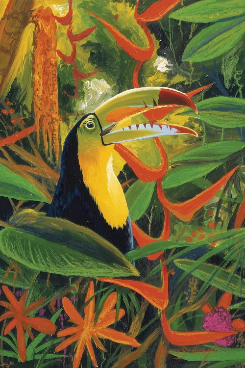 Toucan Colors