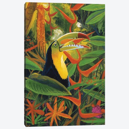 Toucan Colors Canvas Print #GST327} by Graeme Stevenson Art Print