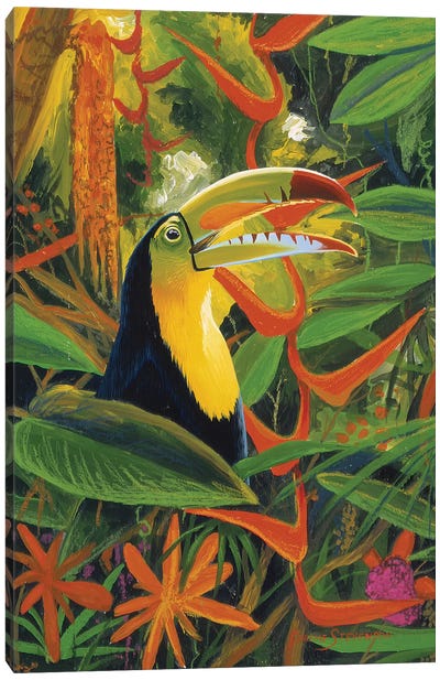 Toucan Colors Canvas Art Print - Graeme Stevenson