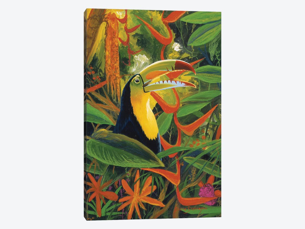 Toucan Colors by Graeme Stevenson 1-piece Canvas Art Print