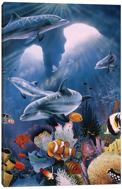 Twilight Canvas Art Print - Dolphin Art