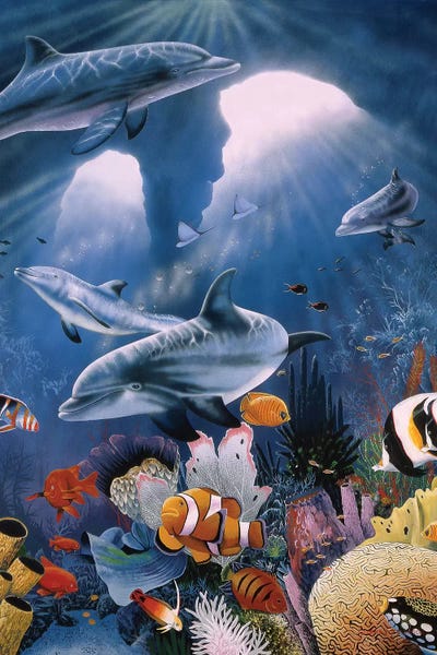 Dolphins: Twilight by Graeme Stevenson