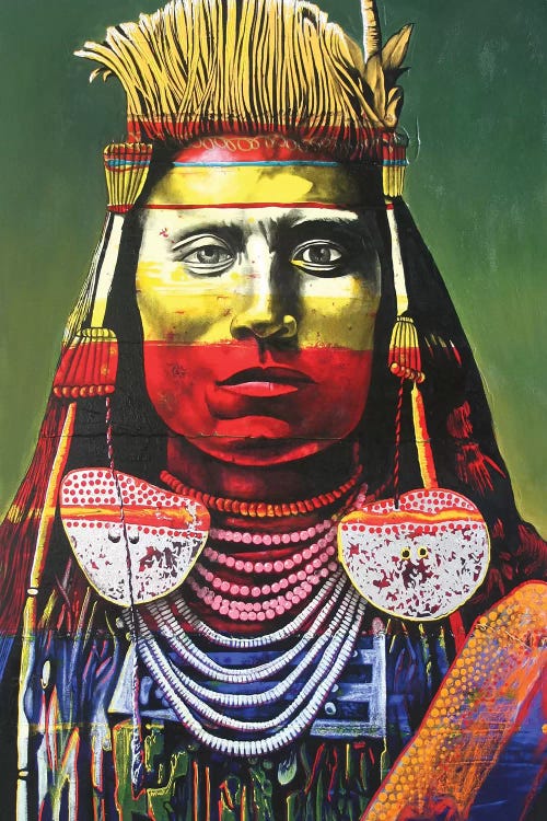 Indian Chief by Graeme Stevenson wall art