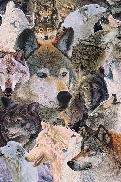 Wolves Alive