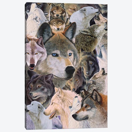 Wolves Alive Canvas Print #GST344} by Graeme Stevenson Canvas Print