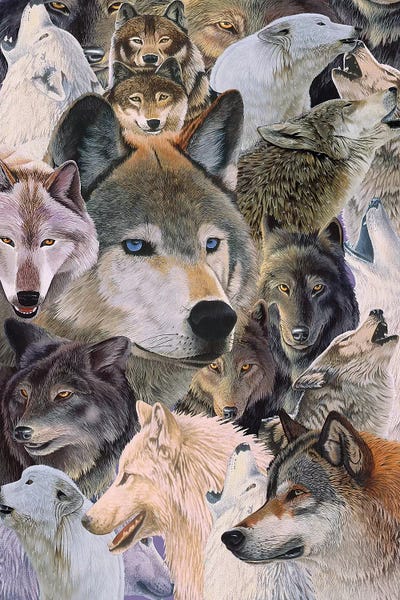 Wolves: Wolves Alive by Graeme Stevenson