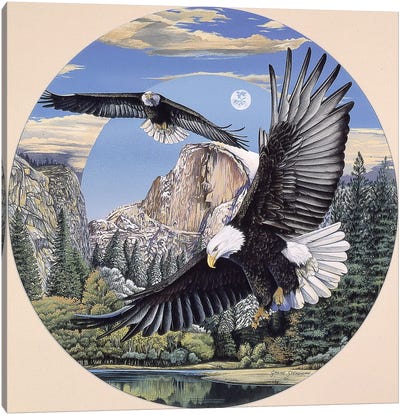 Yosemite Majesty Canvas Art Print - Eagle Art