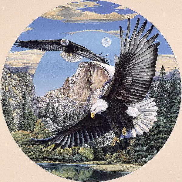 Yosemite National Park: Yosemite Majesty by Graeme Stevenson