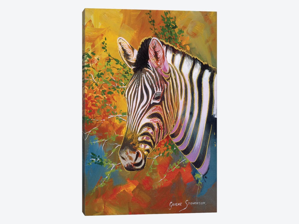 Zebra Days by Graeme Stevenson 1-piece Canvas Wall Art