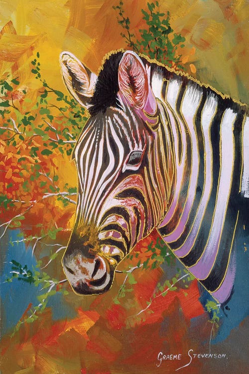Zebra Days by Graeme Stevenson wall art
