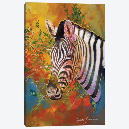 Zebra Days Canvas Print #GST348} by Graeme Stevenson Canvas Art