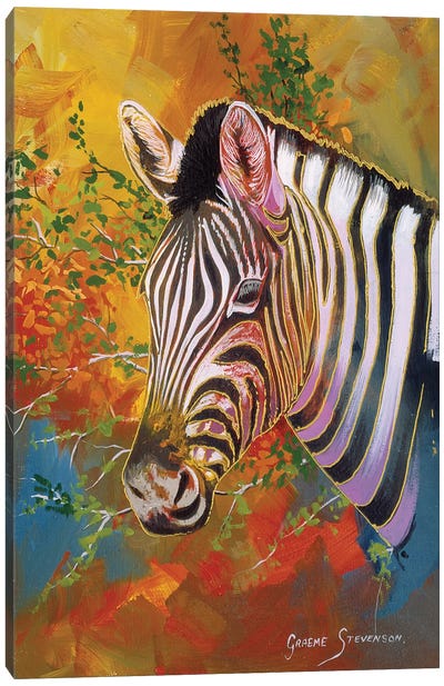 Zebra Days Canvas Art Print - Graeme Stevenson