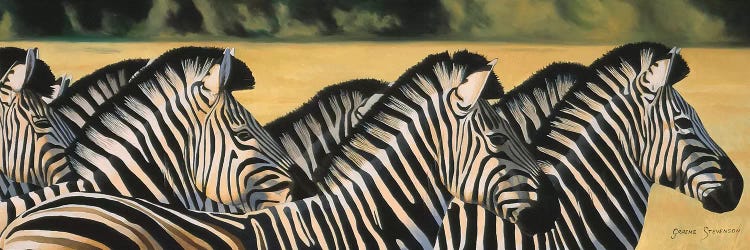 Zebras by Graeme Stevenson wall art