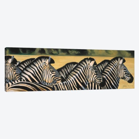 Zebras Canvas Print #GST349} by Graeme Stevenson Canvas Wall Art
