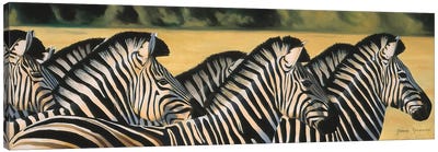 Zebras Canvas Art Print - Graeme Stevenson
