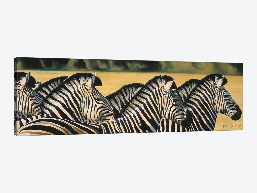Zebras by Graeme Stevenson 1-piece Canvas Print