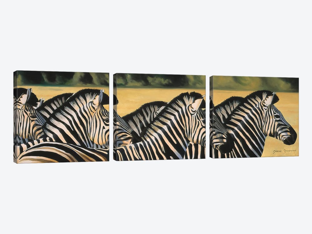 Zebras by Graeme Stevenson 3-piece Canvas Art Print