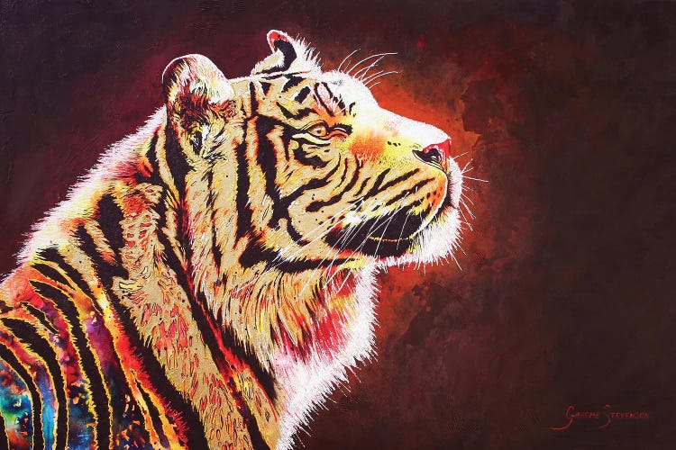 Tiger Night
