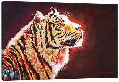 Tiger Night Canvas Art Print - Graeme Stevenson