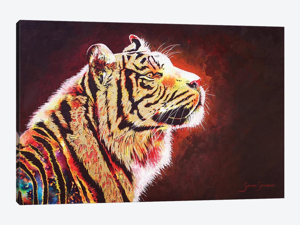 Tiger Night by Graeme Stevenson 1-piece Canvas Print