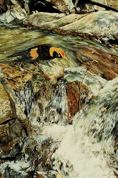 Majic Valley by Graeme Stevenson framed wall art