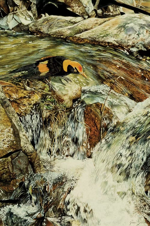 Majic Valley by Graeme Stevenson wall art