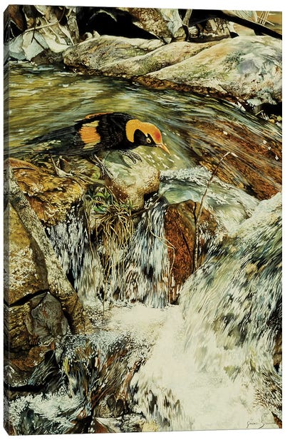 Majic Valley Canvas Art Print - Graeme Stevenson