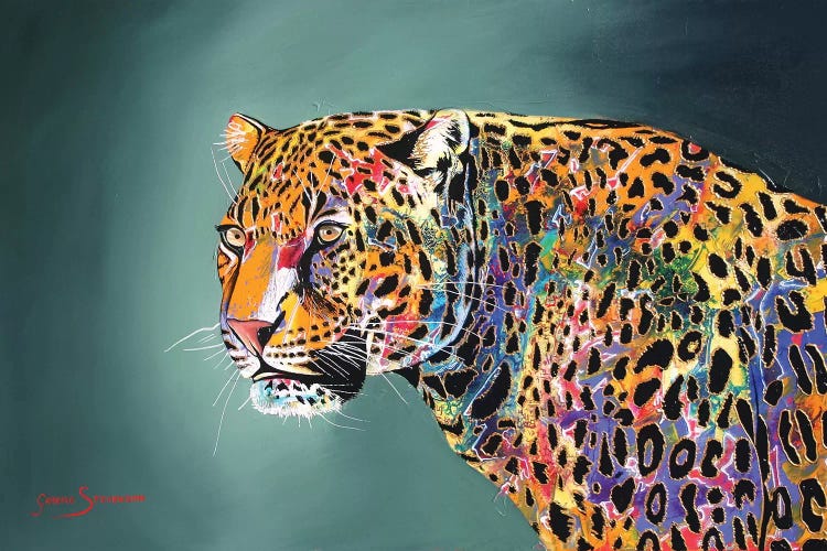 Morning Of The Jaguar by Graeme Stevenson wall art