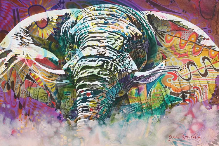 Psychedelic Elephant by Graeme Stevenson wall art