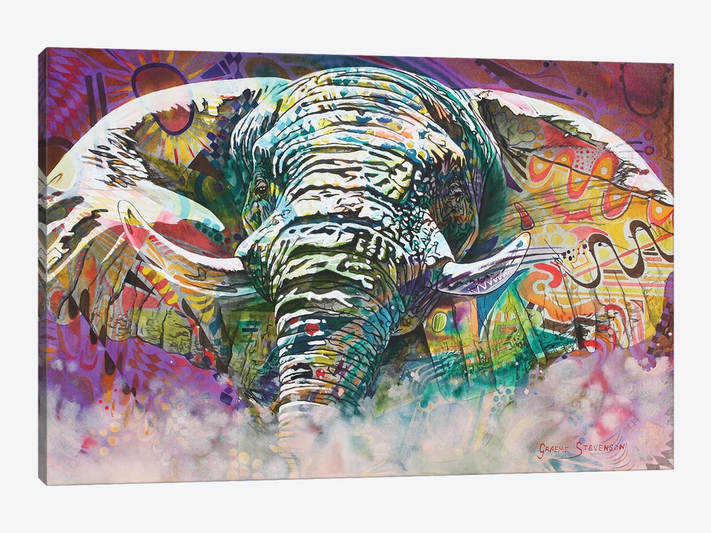 Psychedelic Elephant by Graeme Stevenson 1-piece Canvas Art