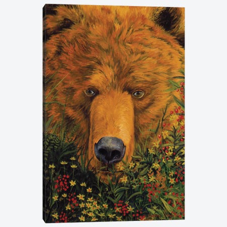 Theres A Bear In There Canvas Print #GST68} by Graeme Stevenson Canvas Artwork