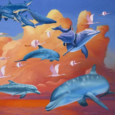 Dolphins Clouds by Graeme Stevenson framed wall art