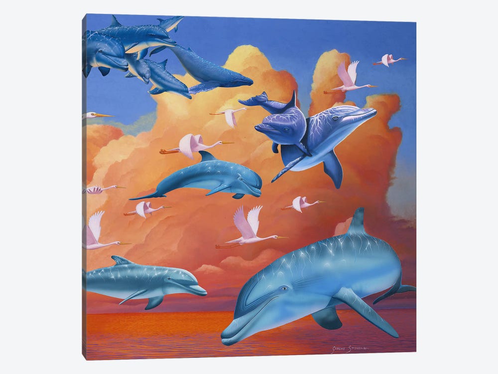 Dolphins Clouds by Graeme Stevenson 1-piece Canvas Print
