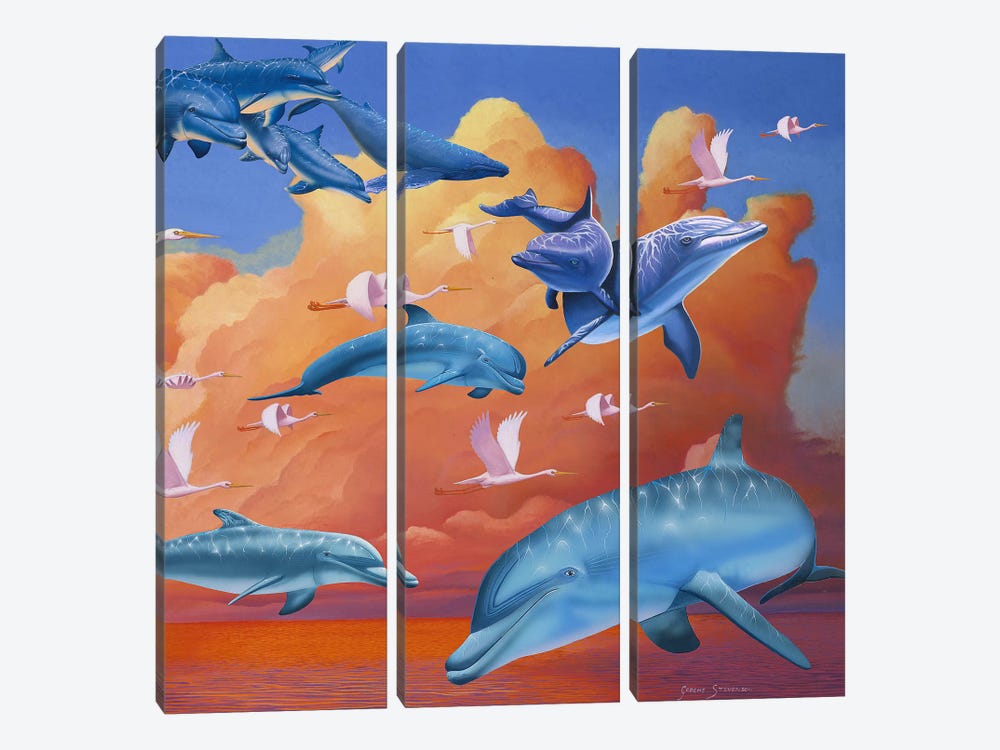 Dolphins Clouds by Graeme Stevenson 3-piece Canvas Art Print