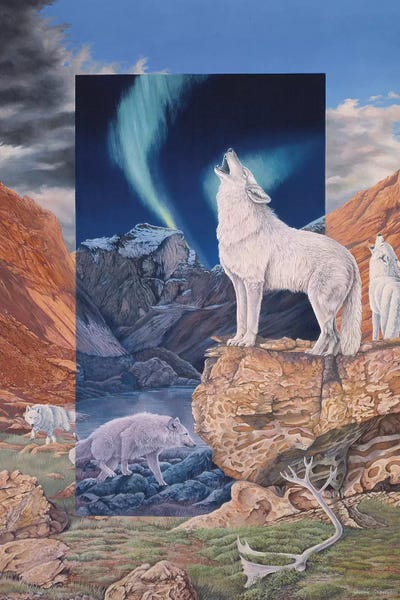 Foot Steps in the Night by Graeme Stevenson framed wall art