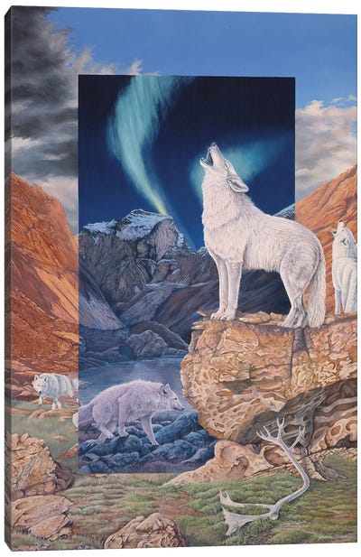 Foot Steps in the Night Canvas Art Print - Wolf Art