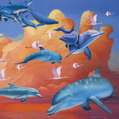 Possibilities by Graeme Stevenson framed wall art