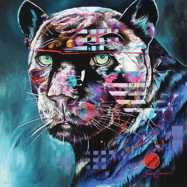 Panthers: The Black Night by Graeme Stevenson