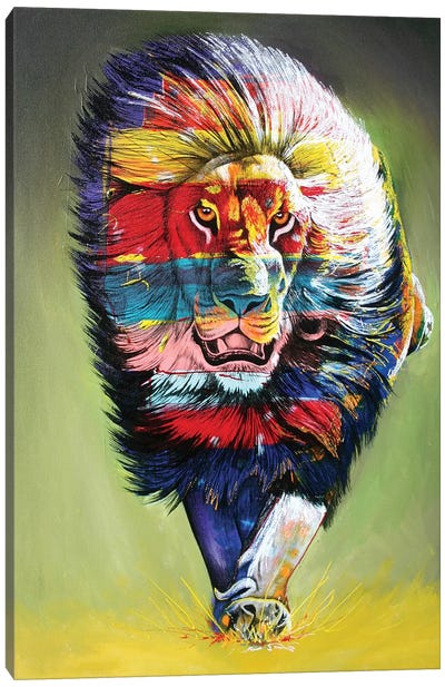 The Rainbow Hunter Canvas Art Print - Graeme Stevenson