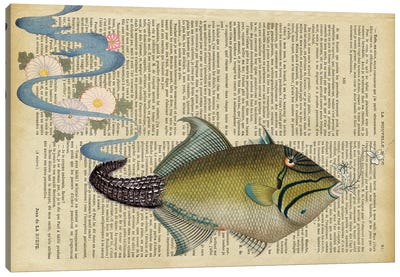 The Fish Canvas Art Print - Gloria Sánchez