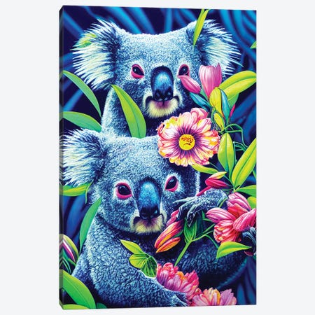 Colourful Koalas Canvas Print #GSZ84} by Gloria Sánchez Canvas Print