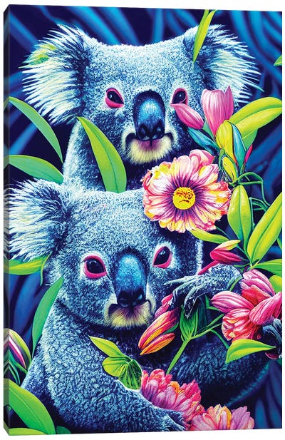 Colourful Koalas Canvas Art Print - Koala Art