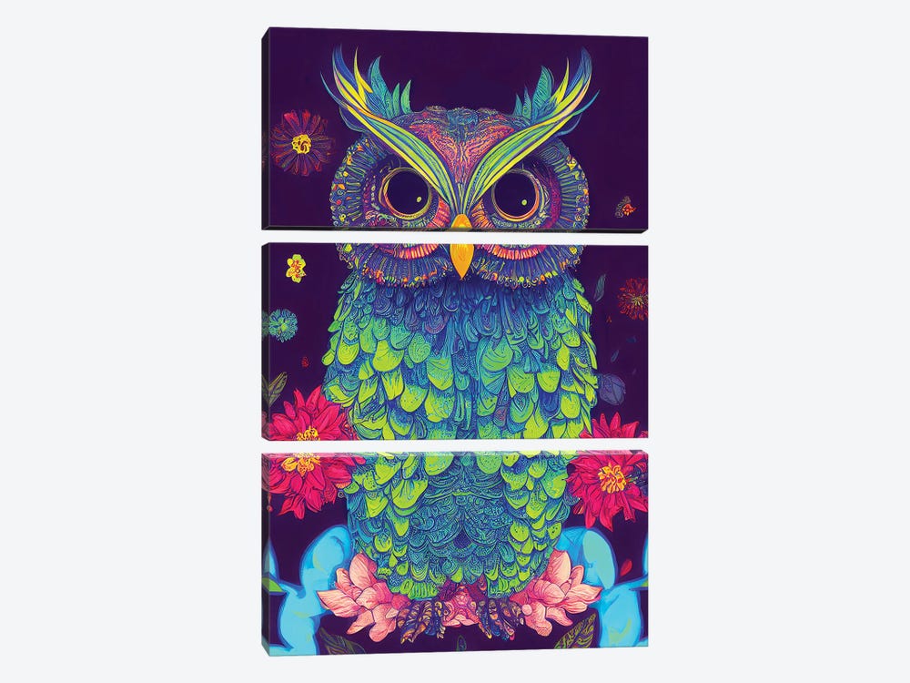 Colourful Owl by Gloria Sánchez 3-piece Art Print
