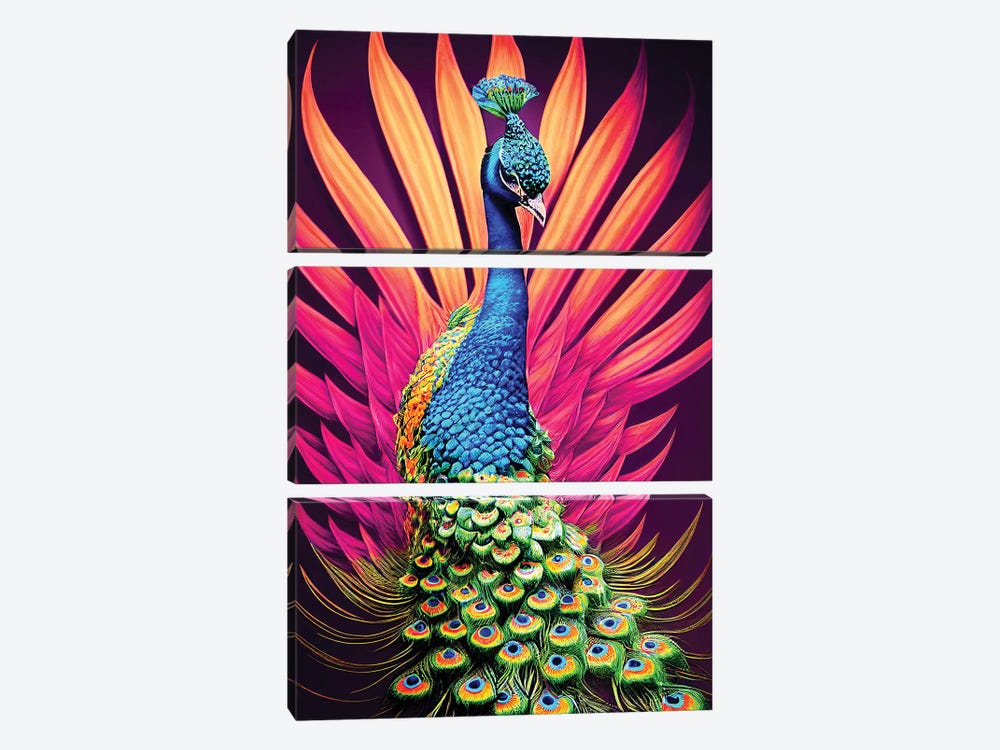 Colourful Peacock by Gloria Sánchez 3-piece Canvas Artwork